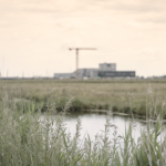 Nederlands polderlandschap met riet op de voorgrond en een industrieel gebouw met bouwkraan aan de horizon